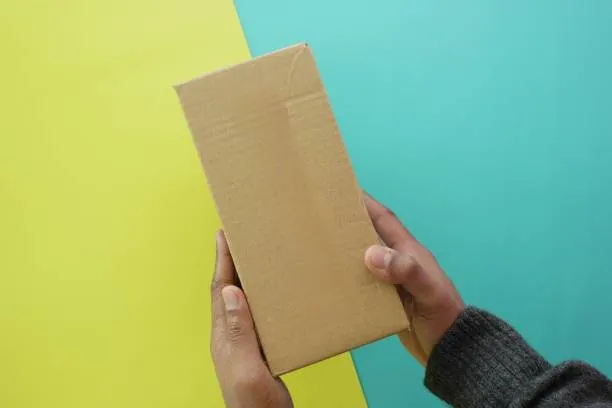 Professional medical courier service in action